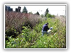Man walking up an embankment with garbage