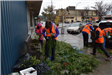 Volunteers in Organe Vests Breaking Apart Branches