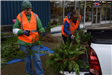 Two Volunteers Working on Tree Basket Arrangements