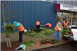 Volunteers Trimming and Decorating Holiday Tree Arrangements