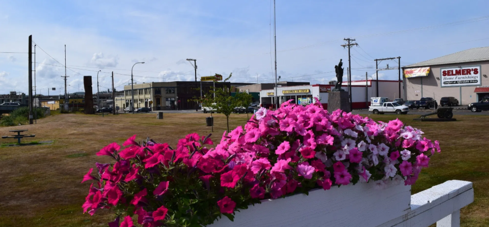 Pink Flowers Displayed on a White Fence