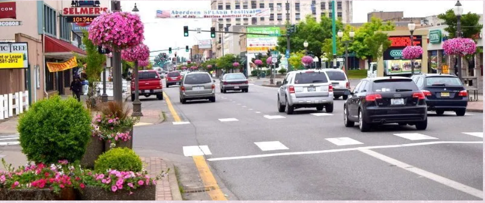 Cars Driving Down a Street Decorated in Plants and Flowers